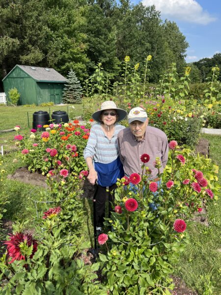 Elderly couple standing among vibrant flowers in a lush garden, with a green shed and sunflowers in the background, showcasing a joyful day of gardening.