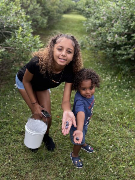 Two children happily picking blueberries in a lush berry field, one holding a bucket and the other showing off freshly picked blueberries in their hands.